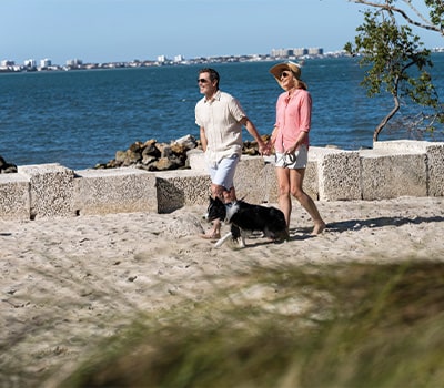 12 Ways Life at 1000 Boulevard of the Arts Embraces The Bay Sarasota Park Next Door